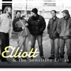 Elliott & the Sensitive Fellas