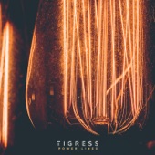 Tigress - Power Lines