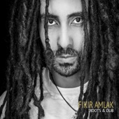 Fikir Amlak - Dub Now