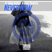 Never Now artwork