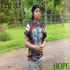 Perfect - Single by Hope album reviews, ratings, credits