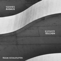 Hannes Rasmus - Kleinste Teilchen artwork