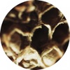 Gabriele Carasco & Angelina Yershova - Outer