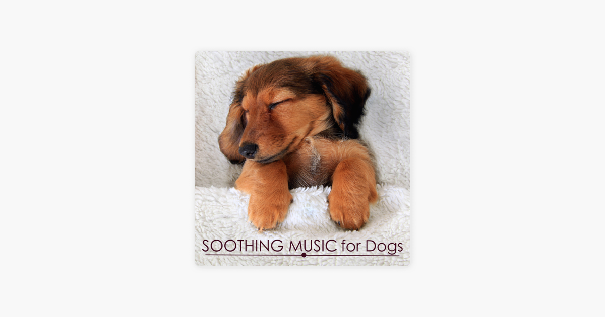 puppy bedtime music