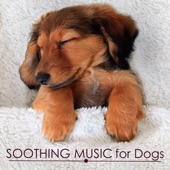 Soothing Music for Dogs: Pet Therapy artwork
