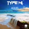 Aquis - Type 41 lyrics