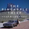 Your Wilderness - The Pineapple Thief