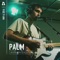 Crank - Palm lyrics