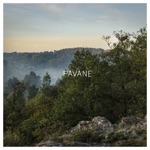PAVANE - ppp