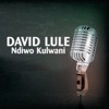 Ndiwo Kulwani - Single