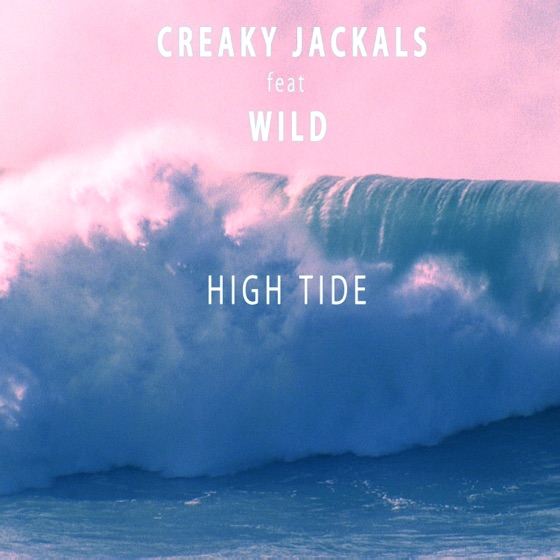 Cover artwork for High Tide (feat. WILD)