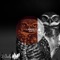 Pecking Order - Laurent Ci lyrics
