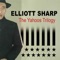 Raise the Hammer (feat. Eric Mingus) - Elliott Sharp lyrics