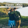 Gracias Amor por Todo Lo Vivido - Single