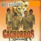 Por Favor Comprende - Los Cachorros De Juan Villareal lyrics