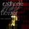 Cathodeflower