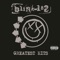 Carousel - blink-182 lyrics