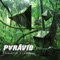 Sony - Pyravid lyrics