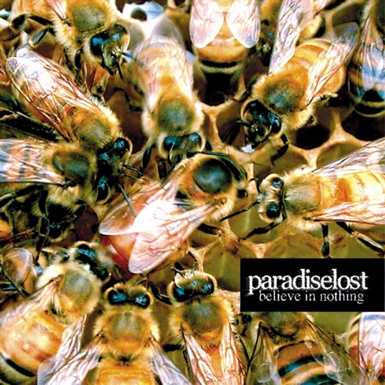 Cover artwork for Divided