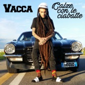 Calze con le ciabatte (Radio Edit) artwork