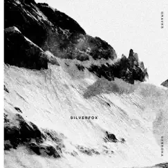 Silver Fox - Single by Graves & Debroka album reviews, ratings, credits