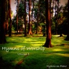 Hymns on Piano - In the Sweet By and By