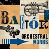 Budapest Festival Orchestra & Ivan Fischer - Roumanian Folk Dances for Orchestra, Sz. 68 : 6. Fast Dance (from Belényes)