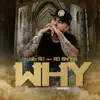 Why - Single album lyrics, reviews, download