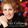 Silent Night / Mary, Did You Know? (feat. Ann Hampton Callaway) song lyrics