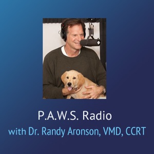 P.A.W.S. Radio – Dr. Randy Pet Vet: Calming Remedies
