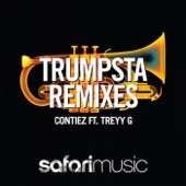 Trumpsta (Mobin Master vs Tate Strauss Radio Edit) artwork