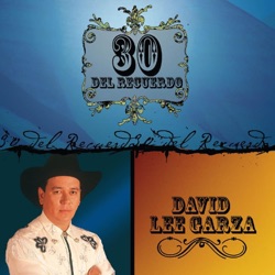 David Lee Garza & Los Musicales - Alma Negra