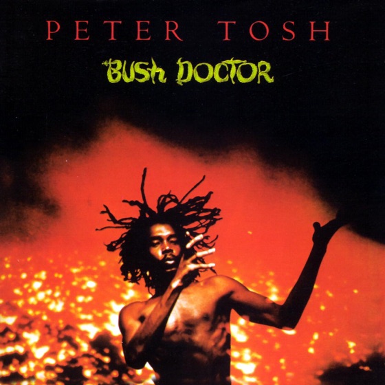 Cover artwork for Bush Doctor (2002 Remaster)