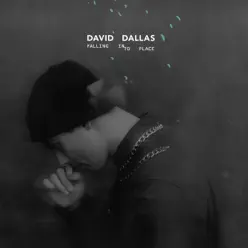 Falling Into Place - David Dallas