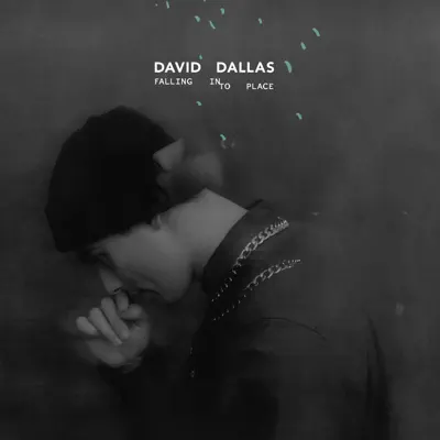 Falling Into Place - David Dallas
