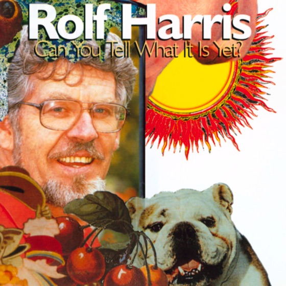 Cover artwork for Raining On the Rock