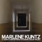 Il genio (l'importanza di essere Oscar Wilde) - Marlene Kuntz lyrics