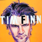 Tim Finn - Young Mountain