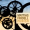 Punish (Sarp Yilmaz Remix) - Mattias Fridell lyrics