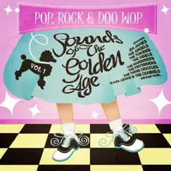 Pop, Rock & Doo Wop - Sounds From the Golden Age Vol. 1 by Various Artists album reviews, ratings, credits