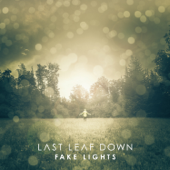 Fake Lights - Last Leaf Down