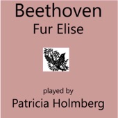 Beethoven - Fur Elise artwork