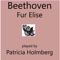 Beethoven - Fur Elise artwork