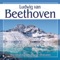 Symphony No.1 in C Major, Op.21: Andante cantabile con moto artwork