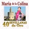Voy a Olvidarme de Ti - María de la Colina lyrics