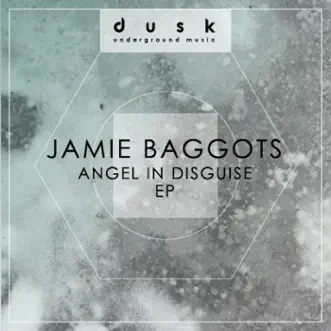 Angel In Disguise - Single by Jamie Baggotts album reviews, ratings, credits