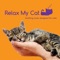 Peaceful Piano - RelaxMyCat lyrics