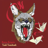 Tawk Tomahawk - Hiatus Kaiyote