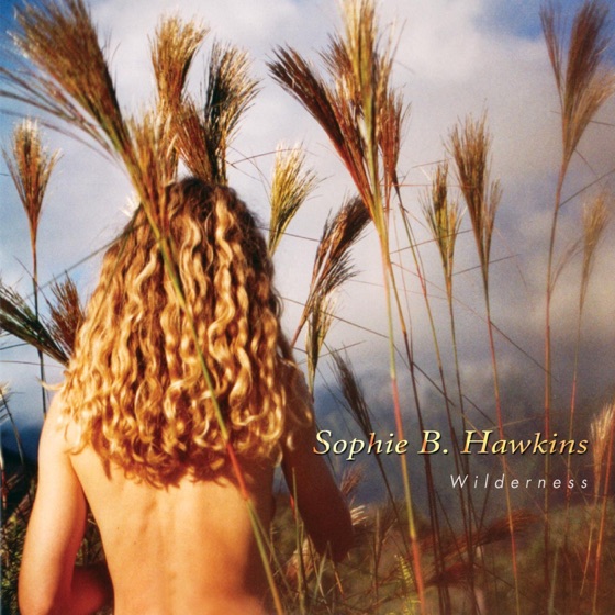 Cover artwork for Blue