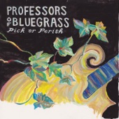 Midnight Train by Professors of Bluegrass